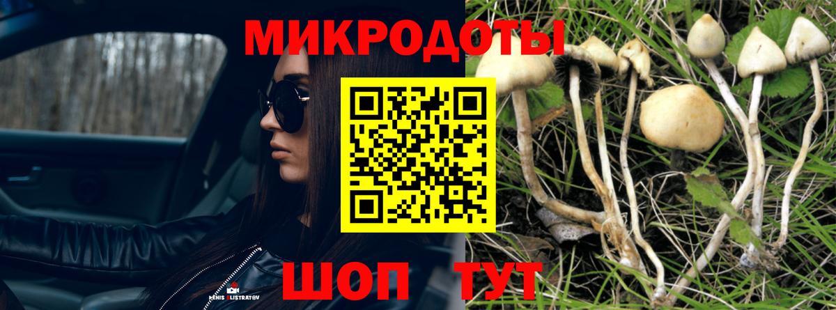 Батайск  Галлюциногенные грибы Magic Shrooms  Псилоцибиновые грибы прущие грибы  Вход с VPN 